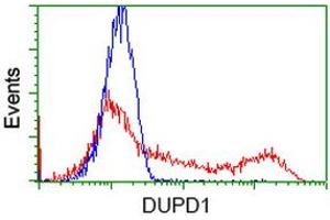 Flow Cytometry (FACS) image for anti-Dual Specificity Phosphatase and Pro Isomerase Domain Containing 1 (DUPD1) antibody (ABIN1497928) (DUPD1 antibody)