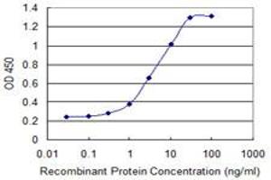 Detection limit for recombinant GST tagged ASAH1 is 0. (ASAH1 antibody  (AA 25-124))