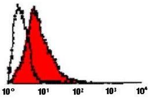 Flow Cytometry (FACS) image for anti-Fas Ligand (TNF Superfamily, Member 6) (FASL) antibody (ABIN187289) (FASL antibody)