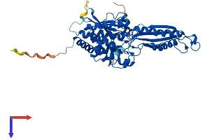 Peptidase M20 Domain Containing 2 (PM20D2) (AA 1-436) protein (His tag)