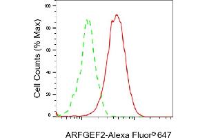 Flow cytometric analysis of ARFGEF2 expression in HepG2 cells using ARFGEF2 antibody (ABIN7797534), 1:2,000).