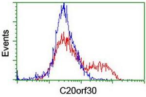 Flow Cytometry (FACS) image for anti-Chromosome 20 Open Reading Frame 30 (C20orf30) antibody (ABIN1498765) (C20orf30 antibody)