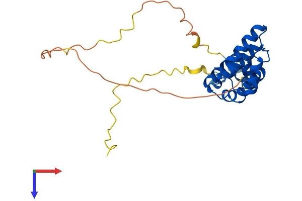 RGS18 Protein (AA 1-235) (His tag)