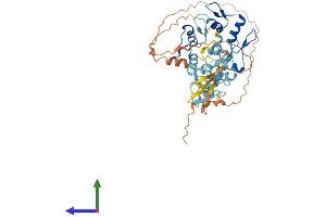 AlphaFold protein structure predicition of Human Recombinant ZNF621 Protein, UniprotID Q6ZSS3