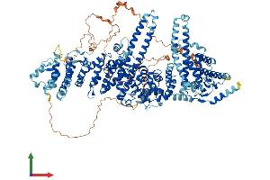 AlphaFold protein structure predicition of Mouse Recombinant Ube4b Protein, UniprotID Q9ES00