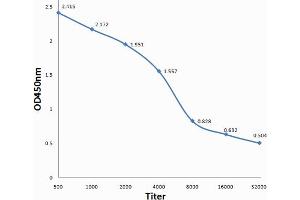Antigen: 0. (GAB2 antibody  (pSer159))