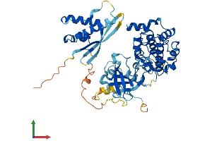 AlphaFold protein structure predicition of Human Recombinant SGK3 Protein, UniprotID Q96BR1