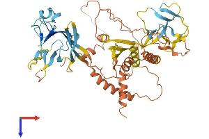AlphaFold protein structure predicition of Human Recombinant ERVFC1-1 Protein, UniprotID P60608 (ERVFC1-1 Protein (AA 1-527) (His tag))
