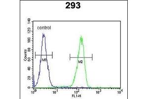 KCT2 Antibody (Center) (ABIN651775 and ABIN2840395) flow cytometric analysis of 293 cells (right histogram) compared to a negative control cell (left histogram). (KCT2 antibody  (AA 123-150))