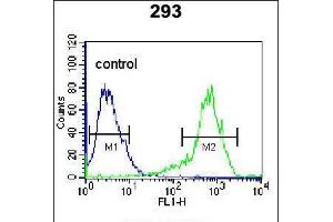 Flow cytometric analysis of 293 cells (right histogram) compared to a negative control cell (left histogram). (KARS antibody  (N-Term))