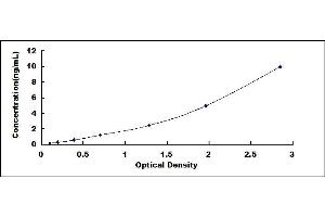 Typical standard curve (WT1 ELISA Kit)