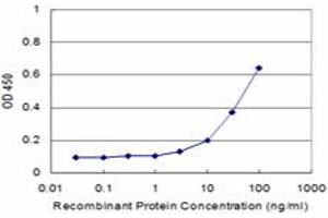 Detection limit for recombinant GST tagged CXCL11 is approximately 3ng/ml as a capture antibody. (CXCL11 antibody  (AA 1-94))