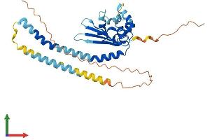 Protein Structure (PS) image for Testis Specific Protein, Y-Linked 3 (TSPY3) (AA 1-308) protein (His tag) (ABIN7544833)