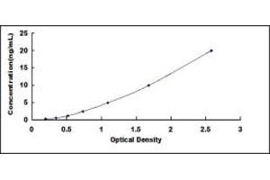 Typical standard curve (TGFBR2 ELISA Kit)