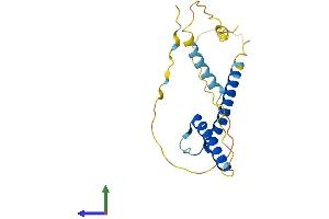 AlphaFold protein structure predicition of Mouse Recombinant Bhlha15 Protein, UniprotID Q9QYC3 (BHLHA15 Protein (AA 1-197) (His tag))