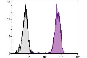 Chicken peripheral blood lymphocytes were stained with Mouse Anti-Chicken MHC Class I-FITC. (MHC, Class I antibody  (FITC))