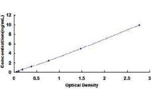 Typical standard curve (BCL2L2 ELISA Kit)