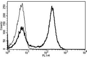 Flow Cytometry (FACS) image for anti-CD5 (CD5) antibody (FITC) (ABIN1106443) (CD5 antibody  (FITC))