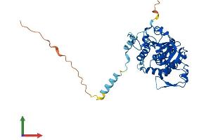 Protein Structure (PS) image for ST8 alpha-N-Acetyl-Neuraminide alpha-2,8-Sialyltransferase 1 (ST8SIA1) (AA 1-356) protein (His tag) (ABIN7546021)