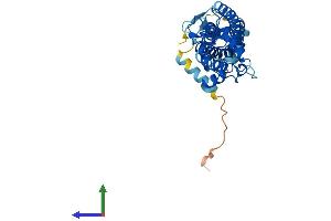 AlphaFold protein structure predicition of Human Recombinant PRPH2 Protein, UniprotID P23942 (PRPH2 Protein (AA 1-346) (His tag))