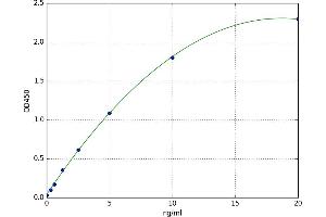 Pyruvate Dehydrogenase Phosphatase (PDP) ELISA Kit