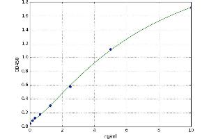 A typical standard curve