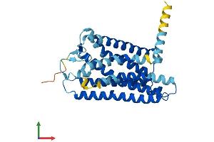 AlphaFold protein structure predicition of Human Recombinant OR13F1 Protein, UniprotID Q8NGS4 (OR13F1 Protein (AA 1-319) (His tag))