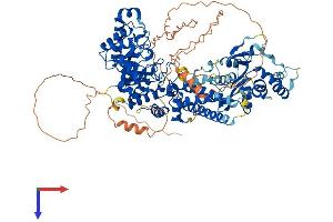 AlphaFold protein structure predicition of Mouse Recombinant Oga Protein, UniprotID Q9EQQ9 (MGEA5 Protein (AA 1-916) (His tag))