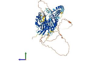 AlphaFold protein structure predicition of Mouse Recombinant Smpd3 Protein, UniprotID Q9JJY3