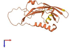 Chromosome 10 Open Reading Frame 126 (C10ORF126) (AA 1-172) protein (His tag)