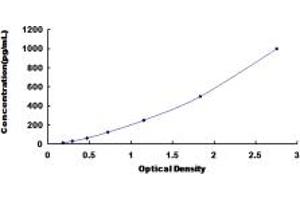 Typical standard curve (Cathepsin Z ELISA Kit)