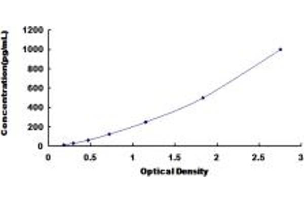Cathepsin Z ELISA Kit