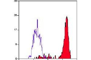 Image no. 1 for anti-Egf-Like Module Containing, Mucin-Like, Hormone Receptor-Like 1 (EMR1) antibody (FITC) (ABIN111853)