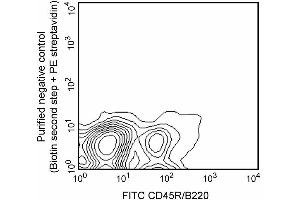 Expression of CD138 on mouse bone- marrow B lymphocytes. (Syndecan 1 antibody)