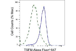 Validation of TSFM knockdown using flow cytometry. (Recombinant TSFM antibody)