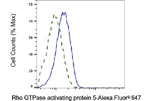Validation of Rho GTPase activating protein 5 knockdown using flow cytometry. (Recombinant ARHGAP5 antibody)