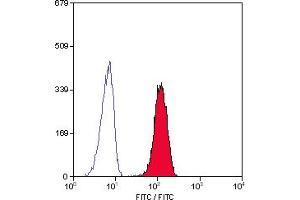 Staining of human peripheral blood granulocytes with MOUSE ANTI HUMAN CD32 (ABIN118595). (FCGR2A antibody)