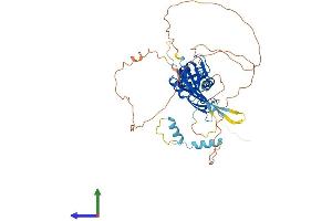 Protein Structure (PS) image for Potassium Channel Tetramerisation Domain Containing 8 (KCTD8) (AA 1-476) protein (His tag) (ABIN7557409)