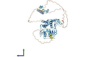 AlphaFold protein structure predicition of Human Recombinant ZNF354B Protein, UniprotID Q96LW1