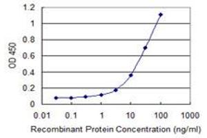 Detection limit for recombinant GST tagged UNC13D is 0. (UNC13D antibody  (AA 2-100))