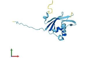 Protein Structure (PS) image for Ribonuclease P/MRP 14kDa Subunit (RPP14) (AA 1-122) protein (His tag) (ABIN7560547)