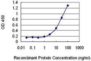 Detection limit for recombinant GST tagged ORC1L is 0. (ORC1 antibody  (AA 1-110))
