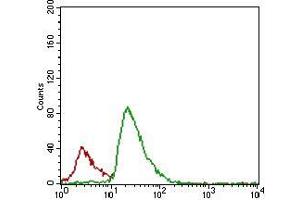 Flow cytometric analysis of JURKAT cells using CFLAR mouse mAb (green) and negative control (red). (FLIP antibody  (AA 100-251))