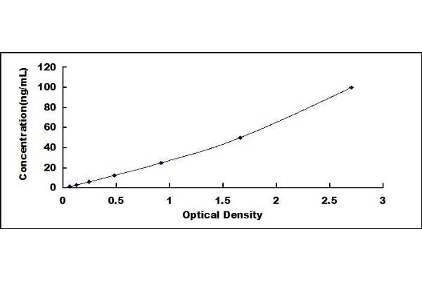 DDC ELISA Kit