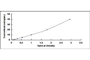 Typical standard curve (ENO2/NSE ELISA Kit)