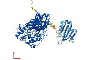 AlphaFold protein structure predicition of Human Recombinant SCP2 Protein, UniprotID P22307