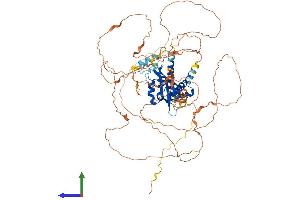 AlphaFold protein structure predicition of Human Recombinant AHRR Protein, UniprotID A9YTQ3