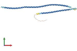 AlphaFold protein structure predicition of Human Recombinant CCDC121 Protein, UniprotID Q6ZUS5 (CCDC121 Protein (AA 1-278) (His tag))