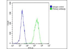 Overlay histogram showing HeLa cells stained with (ABIN390885 and ABIN2841096)(green line). (Calreticulin antibody  (AA 277-305))