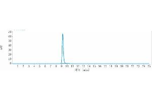 anti-IL33 (Torudokimab Biosimilar) antibody